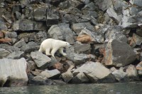 2014-08 Labrador and Nova Scotia –&nbsp;170